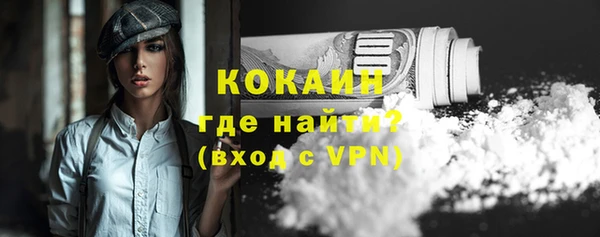 стафф Дмитриев
