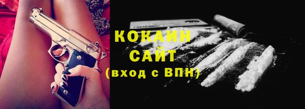 стафф Дмитриев