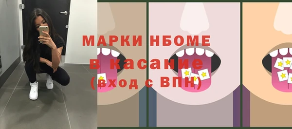 стафф Дмитриев