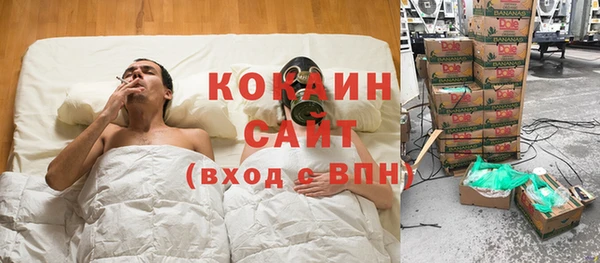 стафф Дмитриев