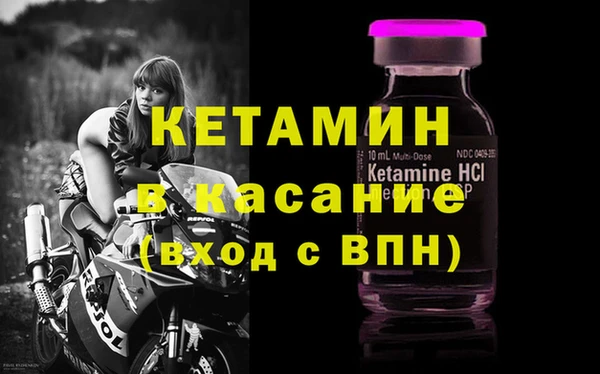 стафф Дмитриев