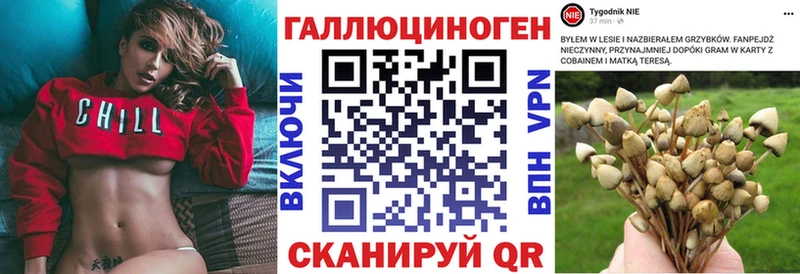Галлюциногенные грибы мицелий  blacksprut сайт  Онега  закладка 